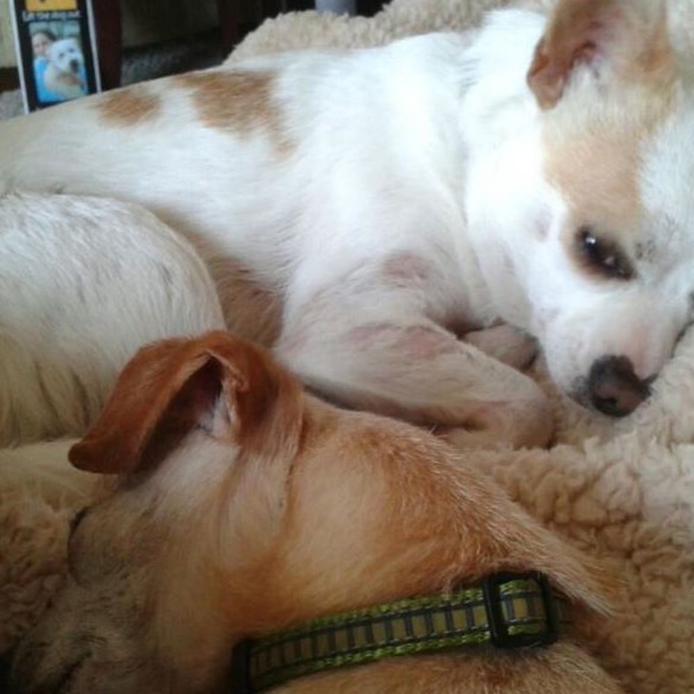 Meet your Posher, Tracy